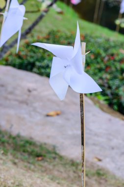 Parktaki Plastik Beyaz Yaban Değirmeni, Chiangmai Eyaleti.