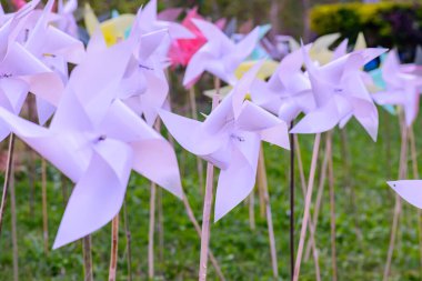 Parktaki Plastik Beyaz Yaban Değirmeni, Chiangmai Eyaleti.