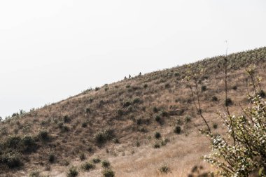 Kew Mae Pan görünümü Doi Inthanon Tabiat Parkı, Tayland