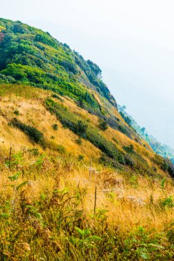 Kew Mae Pan görünümü Doi Inthanon Tabiat Parkı, Tayland