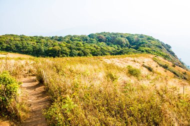 Kew Mae Pan görünümü Doi Inthanon Tabiat Parkı, Tayland