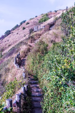 Kew Mae Pan görünümü Doi Inthanon Tabiat Parkı, Tayland