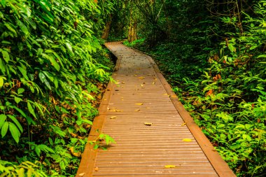 Phu Sang, Tayland 'da doğa yolu..