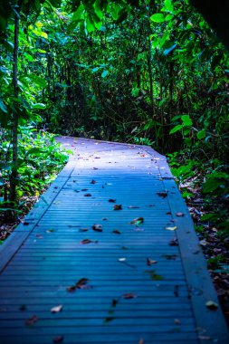 Phu Sang, Tayland 'da doğa yolu..