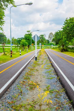 Tayland 'ın Chiangmai şehrinde bisiklet yolu.