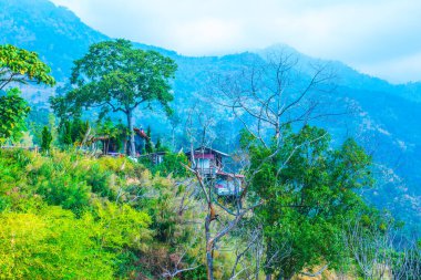 Tayland Phulangka Ulusal Parkı 'nda Dağ Manzaralı Küçük Ev.