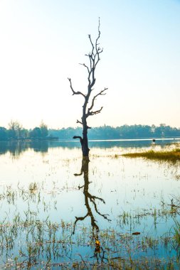 Tayland 'ın Chiangmai ilindeki Huay Tueng Tao gölünün manzara manzarası.