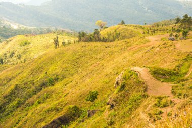 Chiangrai, Tayland 'daki Phu Chi Fa Dağı manzarası.