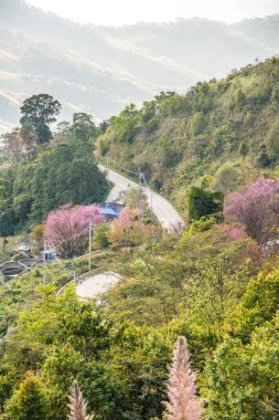 Tayland 'ın Chiangrai eyaletinde dağ manzarası.