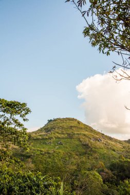 Tayland 'ın Chiangrai ilindeki Doi Pha Tang Dağı manzarası.