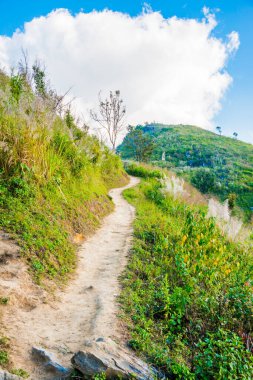 Tayland 'ın Chiangrai ilindeki Doi Pha Tang Dağı manzarası.