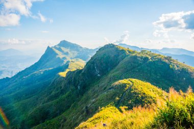 Tayland 'ın Chiangrai ilindeki Doi Pha Tang Dağı manzarası.