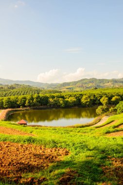 Tayland 'ın Chiang Rai eyaletindeki güzel park..