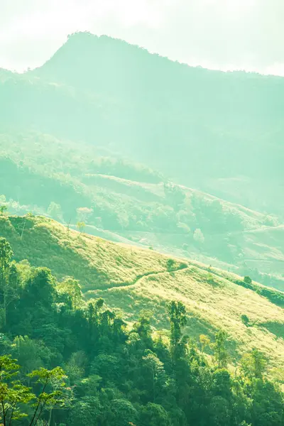 stock image Mountain view at Chiangrai province, Thailand.