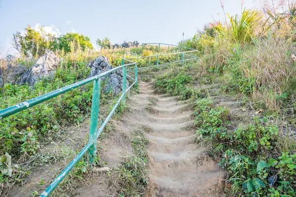 stock image Walkway to Doi Pha Tang at Chiangrai province, Thailand.