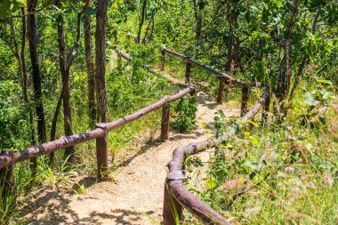 Pha Chau Kanyonu, Tayland 'a merdiven..