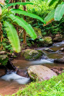 Champa Tanga Şelalesinde Su Akıyor, Tayland.
