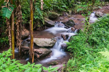 Champa Tanga Şelalesinde Su Akıyor, Tayland.