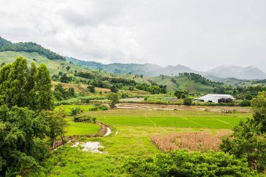 Tayland 'ın Chiang Rai eyaletinde güzel doğal manzara..