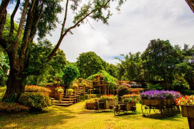 Chiang Rai bölgesindeki Mae Fah Luang Bahçesi, Tayland.