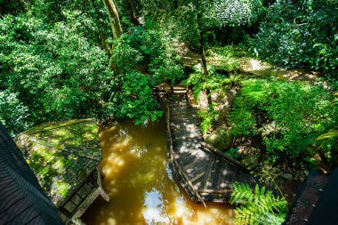 Mae Fah Luang Garden, Tayland 'daki en iyi park manzarası..