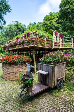 Mae Fah Luang Bahçesi, Tayland.