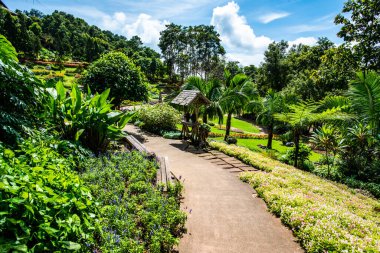 Chiang Rai bölgesindeki Mae Fah Luang Bahçesi, Tayland.