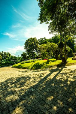 Chiang Rai bölgesindeki Doi Tung Kraliyet Konağı 'nda güzel bir park..