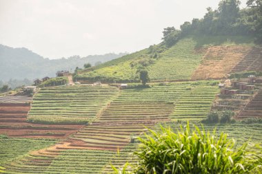 Tayland, Tayland 'da doğal manzara.