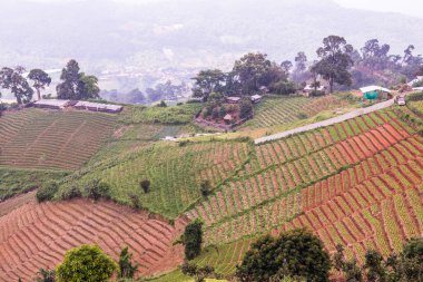 Tayland, Tayland ve Tayland 'da doğal manzara..