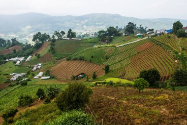Tayland, Tayland ve Tayland 'da doğal manzara..