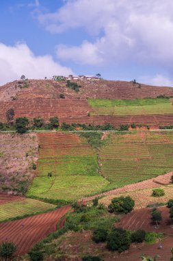 Tayland, Tayland 'da doğal manzara.