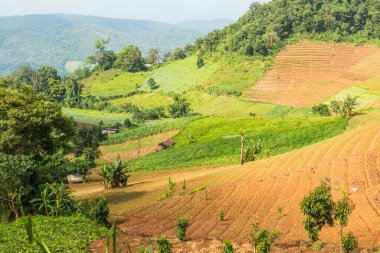 Tayland, Tayland ve Tayland 'da doğal manzara..