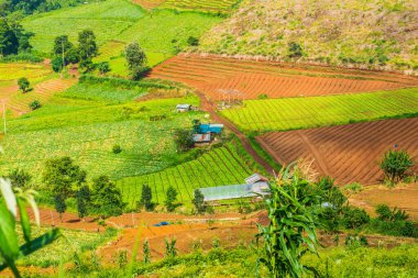 Tayland, Tayland 'da doğal manzara.