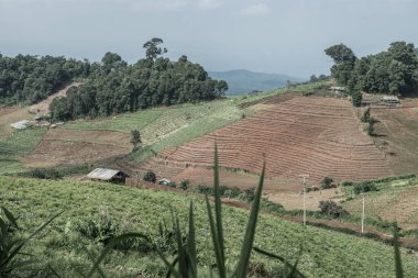 Tayland, Tayland 'da doğal manzara.