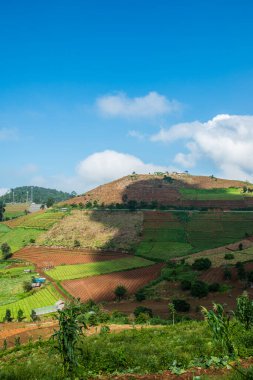 Tayland, Tayland 'da doğal manzara.