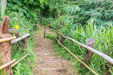 Tayland, Tayland 'da bambu raylı ahşap merdivenler