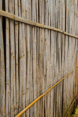 Tayland bambu duvarının arka planı