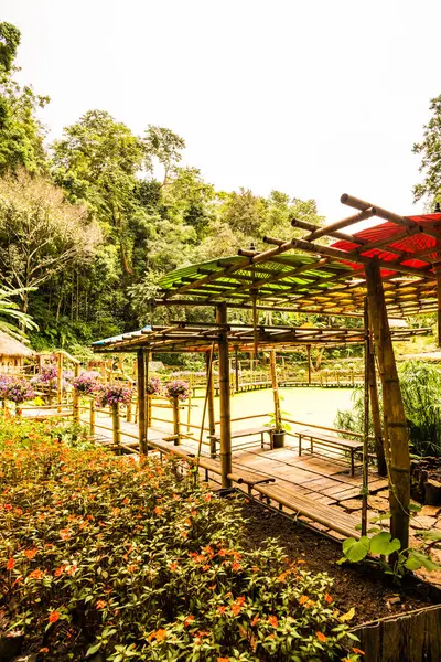 Mae Fah Luang bahçesinin manzarası, Tayland.