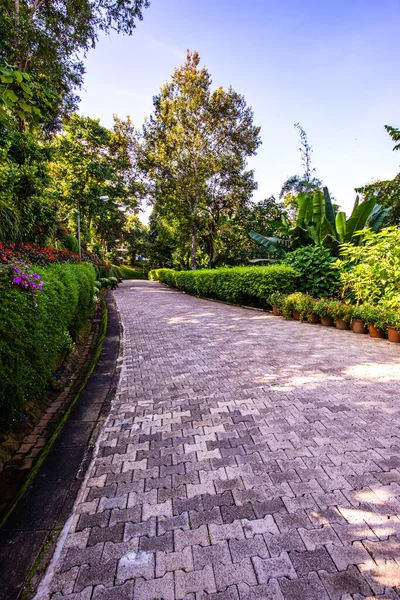 Chiang Rai bölgesindeki Doi Tung Kraliyet Konağı 'nda güzel bir park..