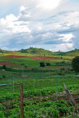 Chiang Mai, Tayland 'da Mae Chaem bölgesinin dağ manzaralı tarım alanı.