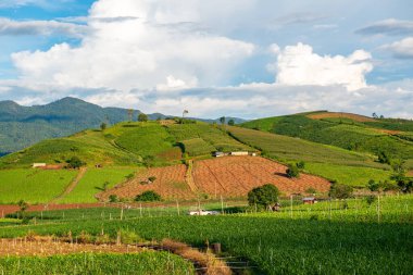 Chiang Mai, Tayland 'da Mae Chaem bölgesinin dağ manzaralı tarım alanı.