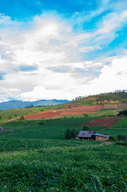Chiang Mai, Tayland 'da Mae Chaem bölgesinin dağ manzaralı tarım alanı.
