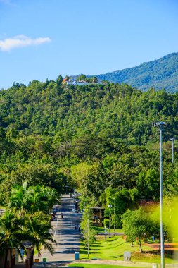 Chiang Mai ilindeki Royal Flora Ratchaphruek Park 'ın manzarası, Tayland.