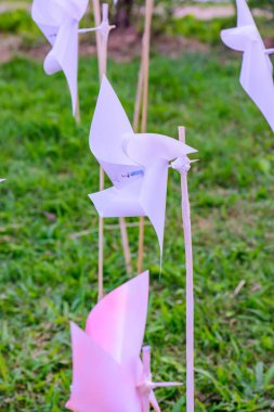 Parktaki Plastik Beyaz Yaban Değirmeni, Chiangmai Eyaleti.