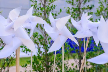 Parktaki Plastik Beyaz Yaban Değirmeni, Chiangmai Eyaleti.