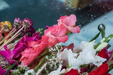 Tapmak için çiçekler, Tayland