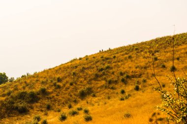 Kew Mae Pan görünümü Doi Inthanon Tabiat Parkı, Tayland