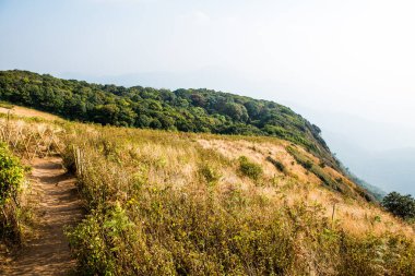 Kew Mae Pan görünümü Doi Inthanon Tabiat Parkı, Tayland
