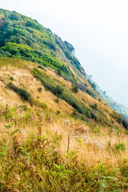 Kew Mae Pan görünümü Doi Inthanon Tabiat Parkı, Tayland